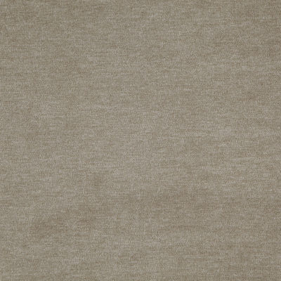 Koala swatch