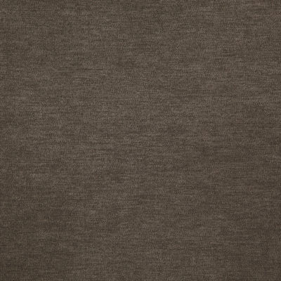 Koala swatch