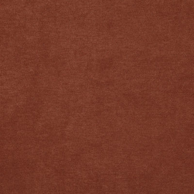 Koala swatch