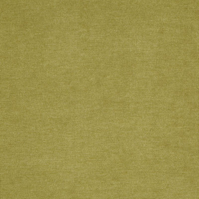 Koala swatch