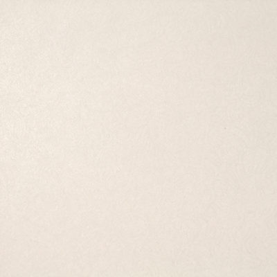 2081 swatch