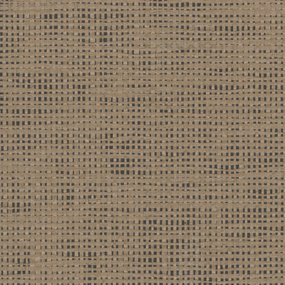 52025 swatch