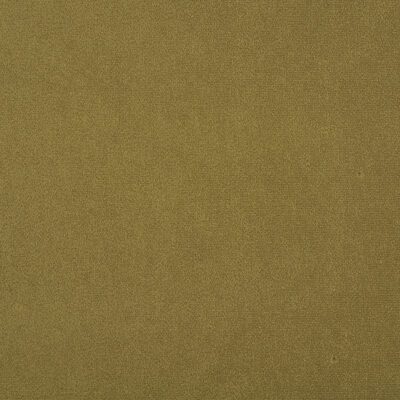 Algonquin swatch