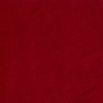 Anastasia swatch