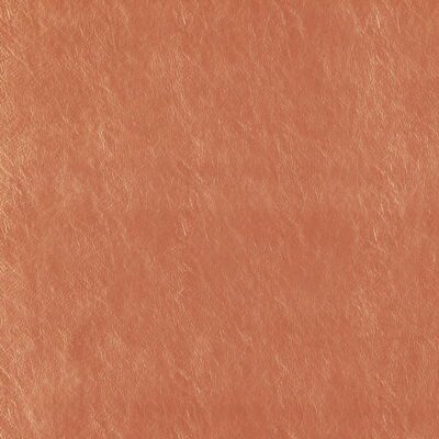 Beauty swatch