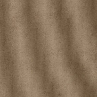 Campbell swatch