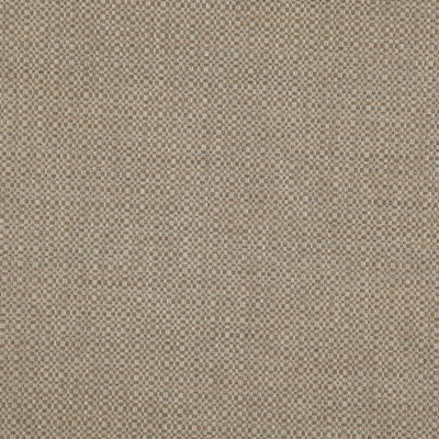 Castle swatch