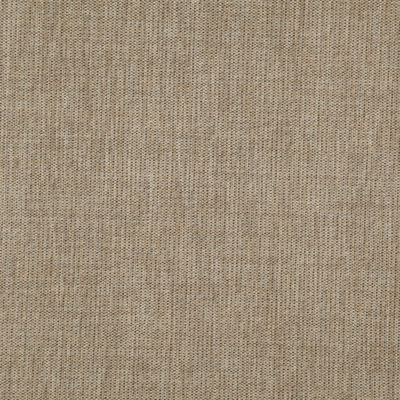 Court swatch