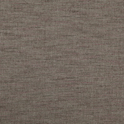 Donato swatch