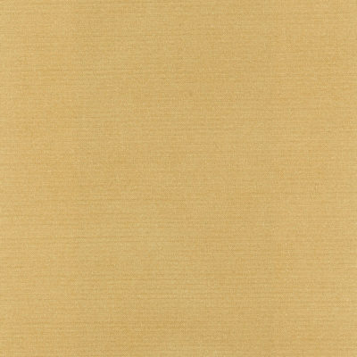 Eleanor swatch