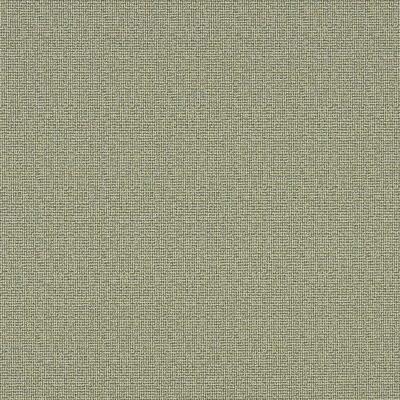 Napanee swatch