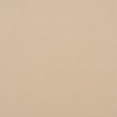 Salute swatch
