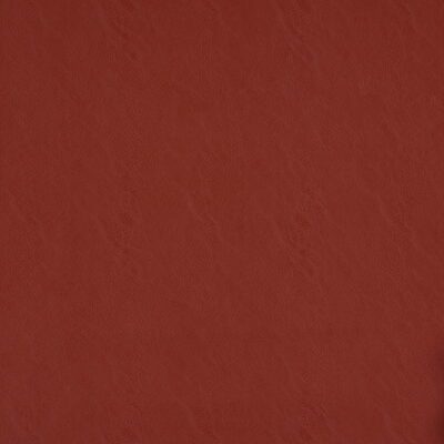 Simplicity swatch
