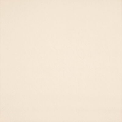Simplicity swatch