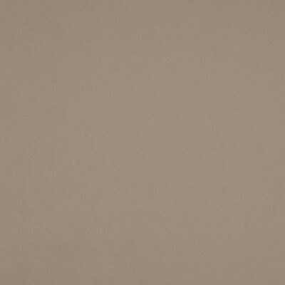 Simplicity swatch
