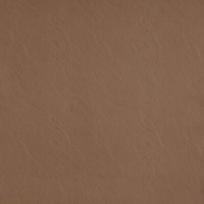 Simplicity swatch