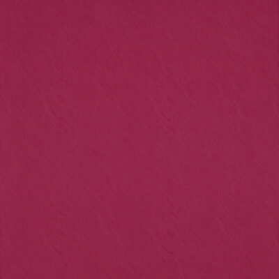 Simplicity swatch