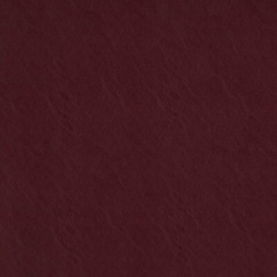 Simplicity swatch