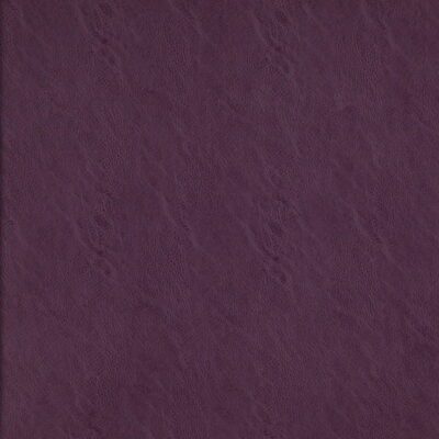 Simplicity swatch