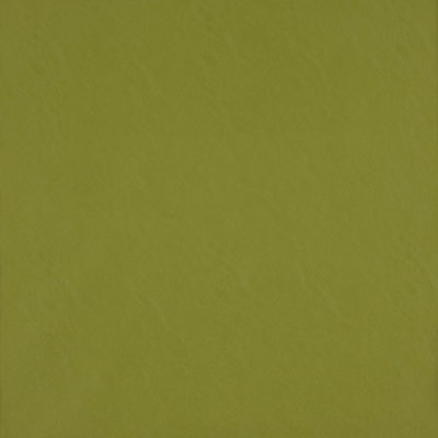 Simplicity swatch