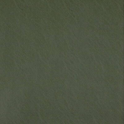 Simplicity swatch