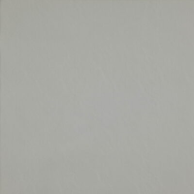 Simplicity swatch