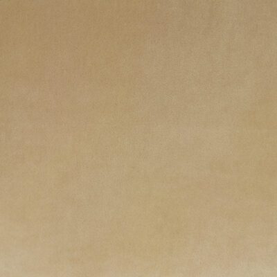 Terrell swatch