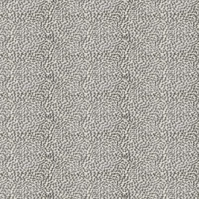 Tutu swatch