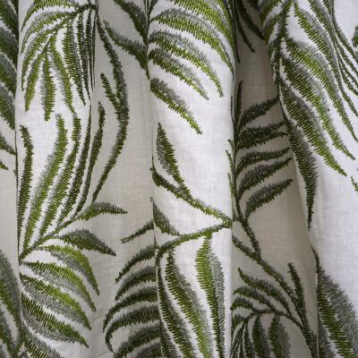 Salvinia swatch