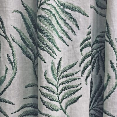 Salvinia swatch