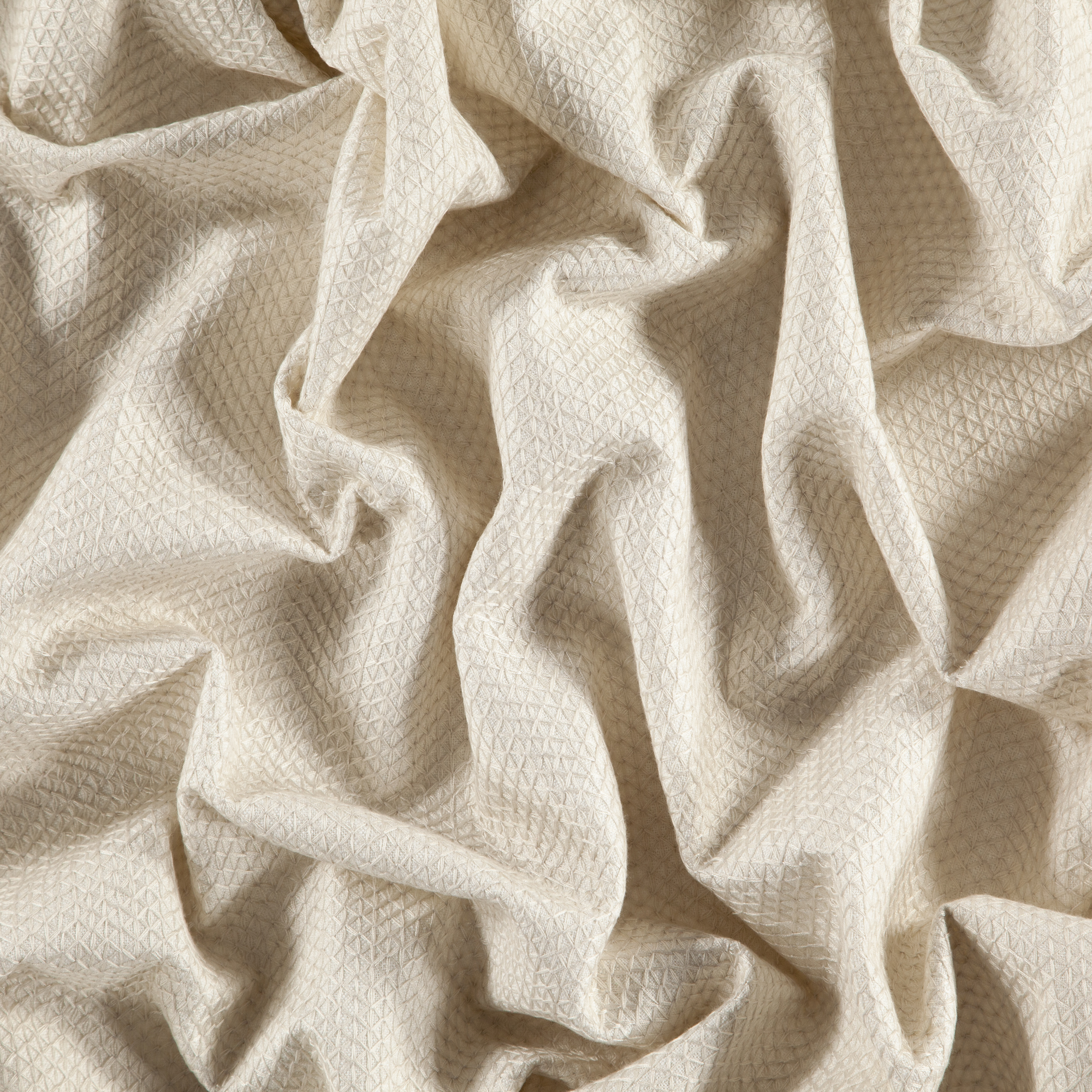 order　FABRIC ③ TRINITY_91J8721-01.JPG