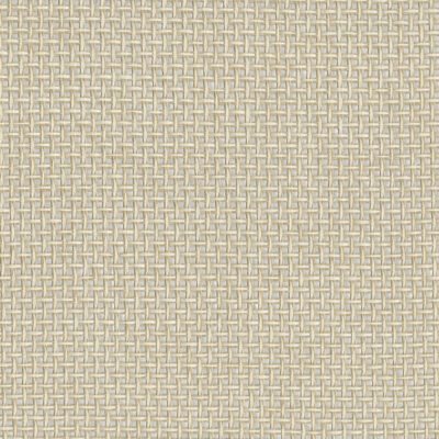 9077 swatch