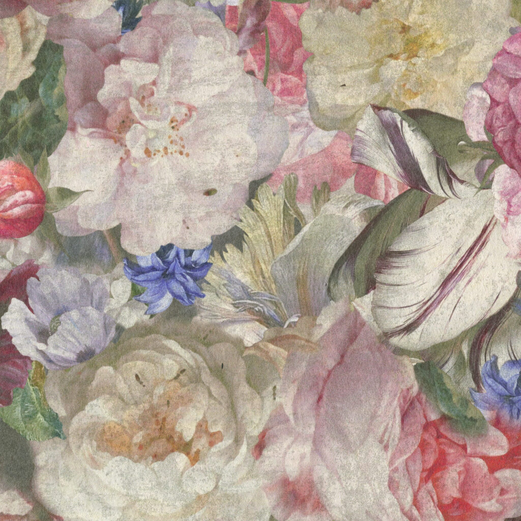 FLOWERS 春篇 ファンブック 未開封 Innocent Gray Amazon.co.jp: FLOWERS Le volume sur printemps official