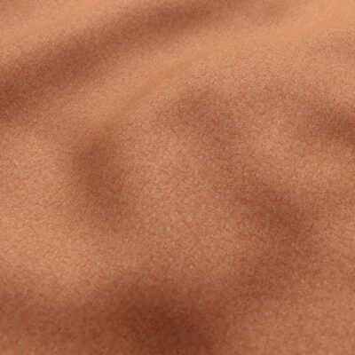 Ventura swatch