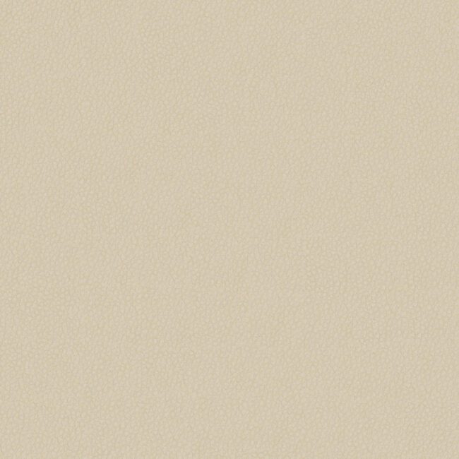 full size image