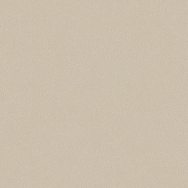 full size image