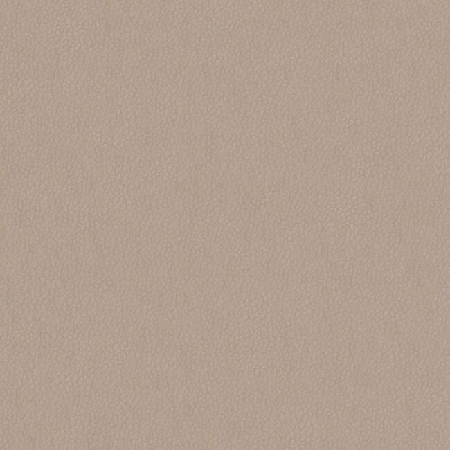 full size image