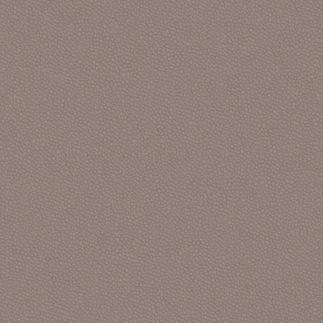 full size image