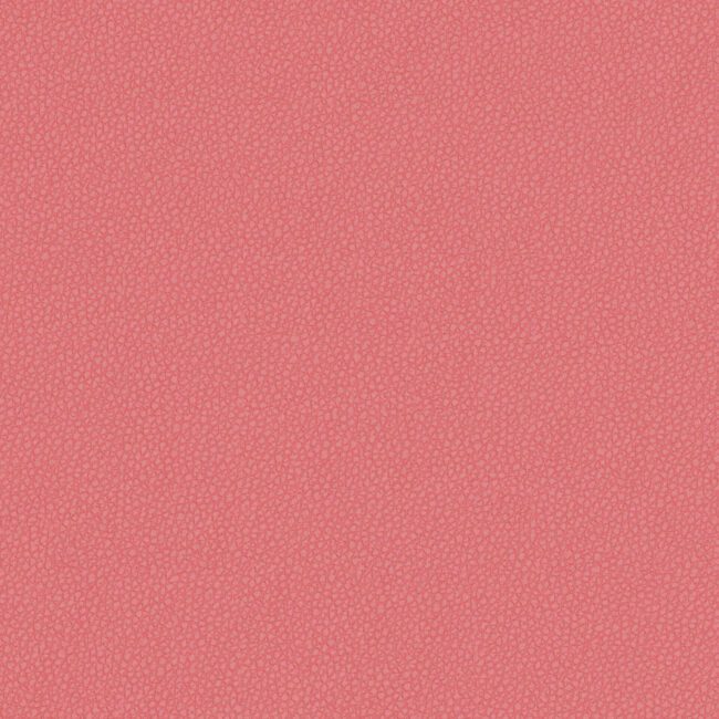 full size image