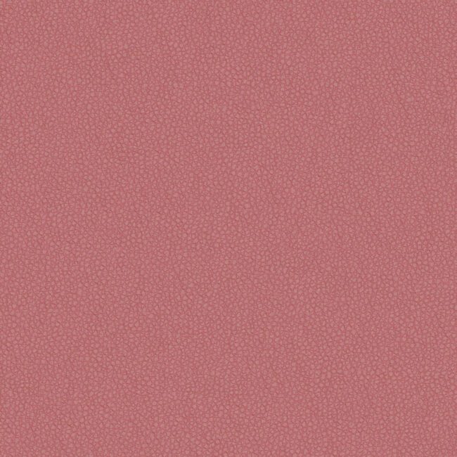 full size image