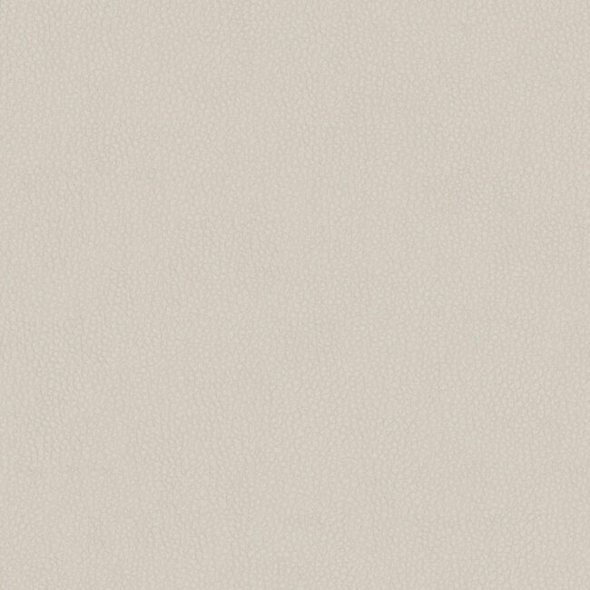 full size image