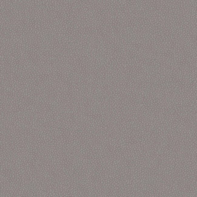 full size image