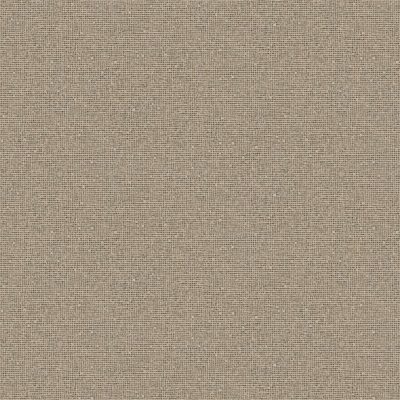 8105 swatch
