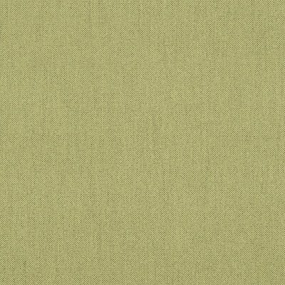 Ezra swatch