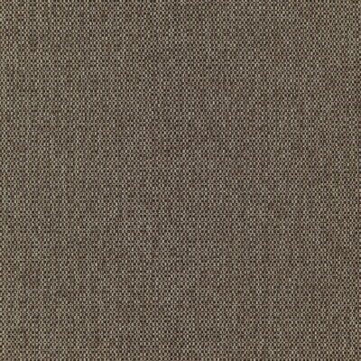 Fierce swatch