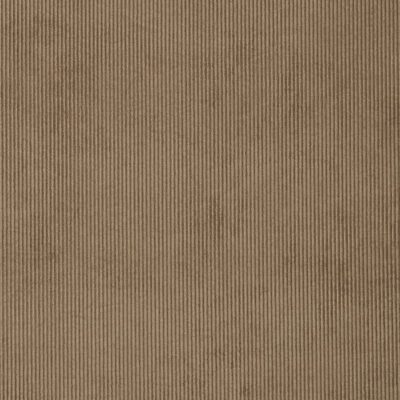Campbell swatch