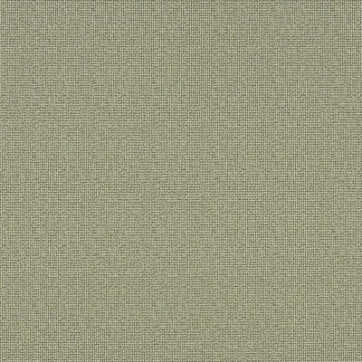 Napanee swatch