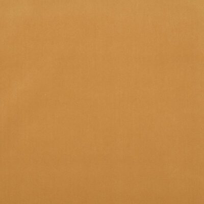Salute swatch