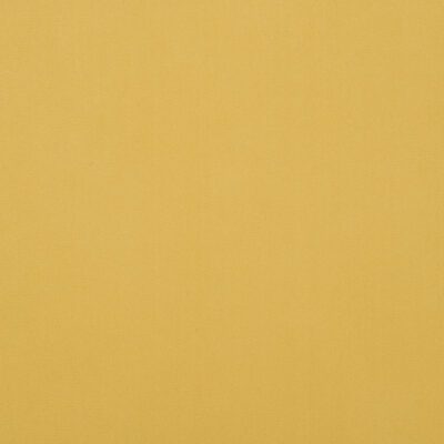 Salute swatch