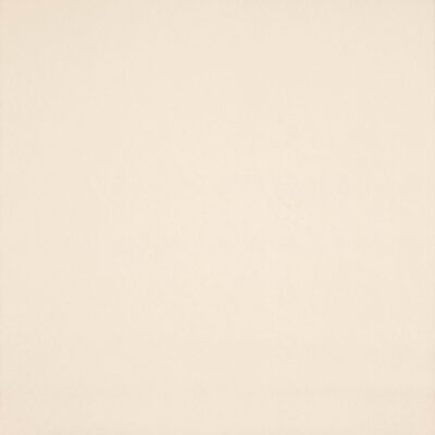 Simplicity swatch
